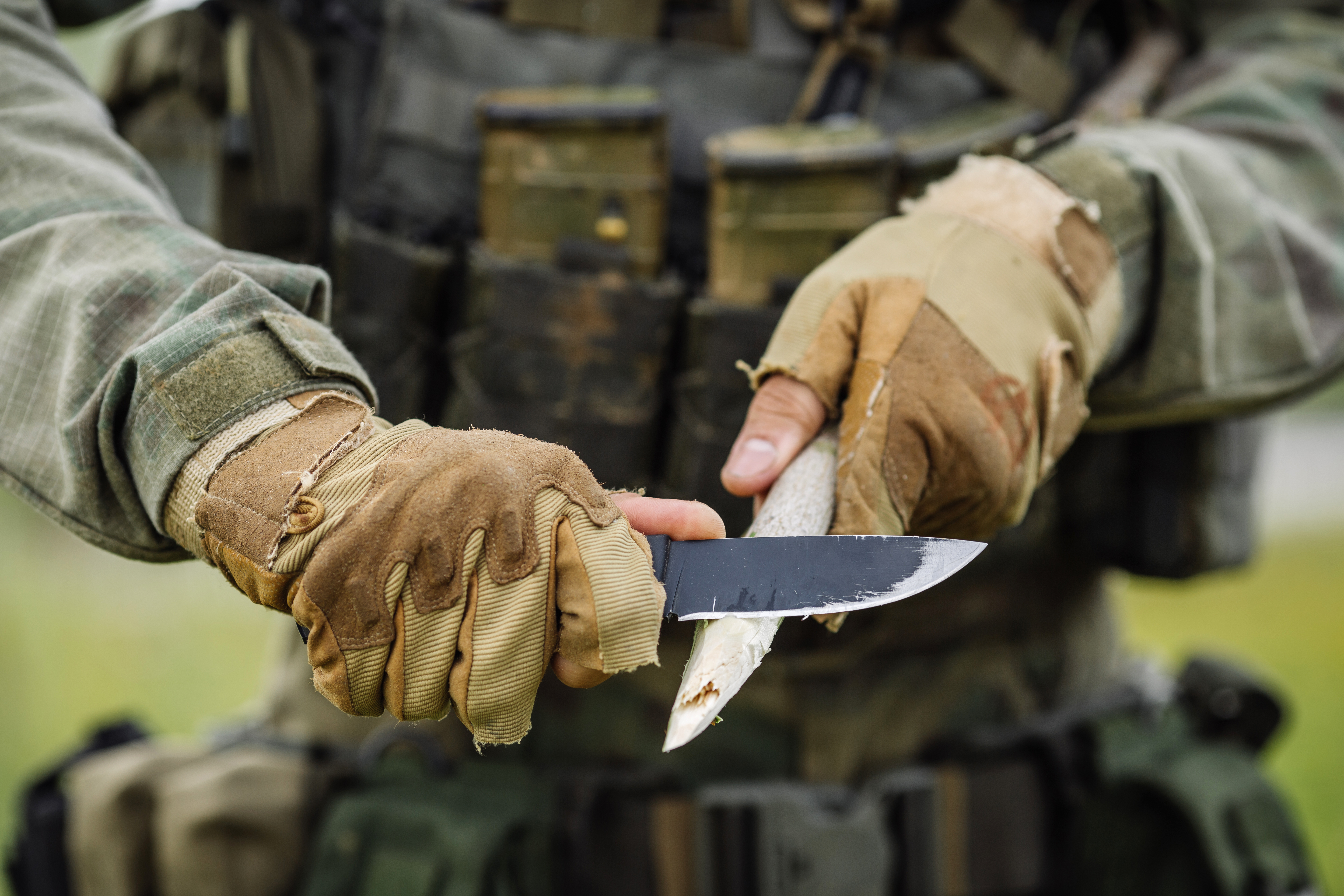survive wilderness with knife