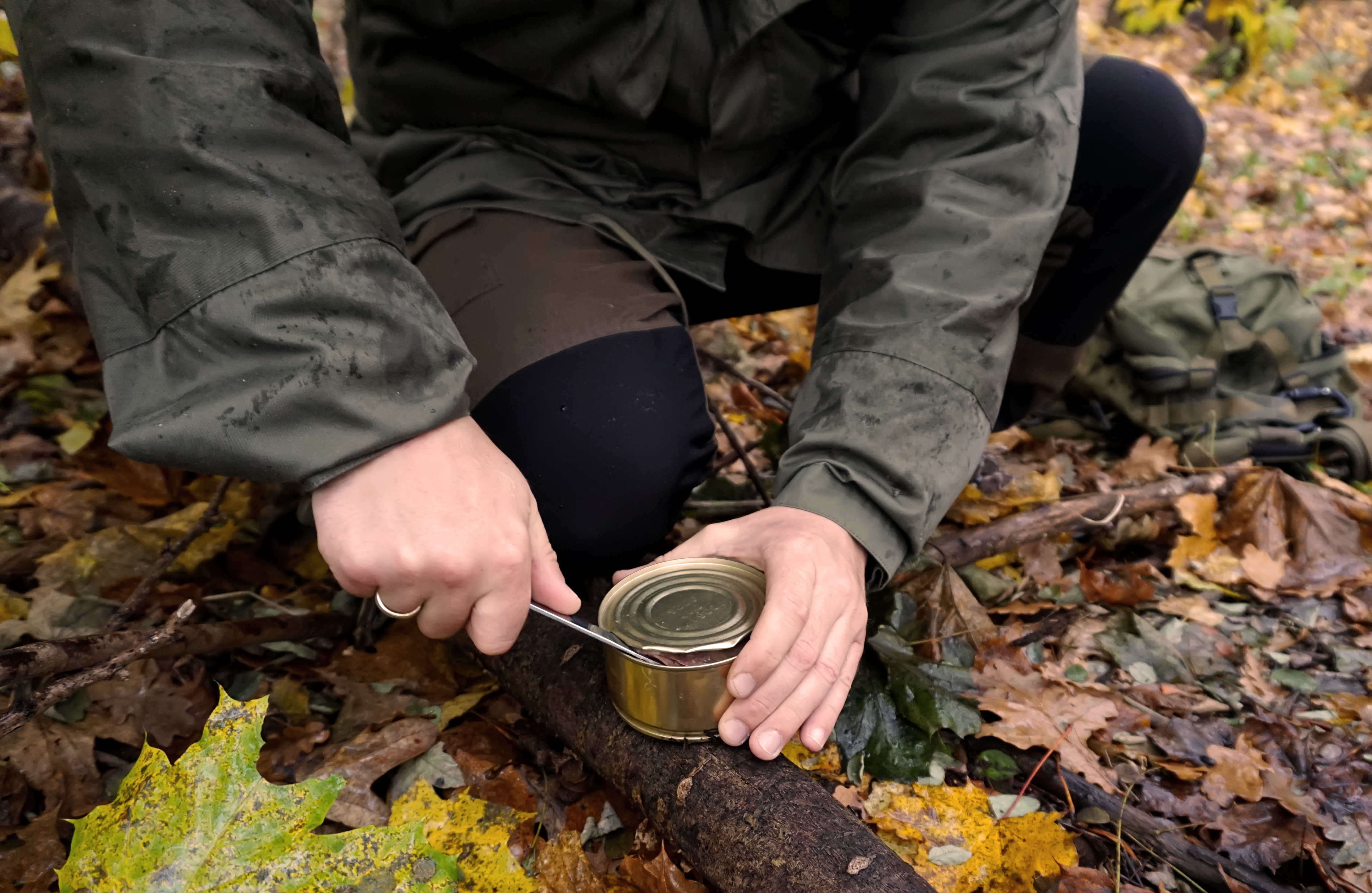 best canned food for survival