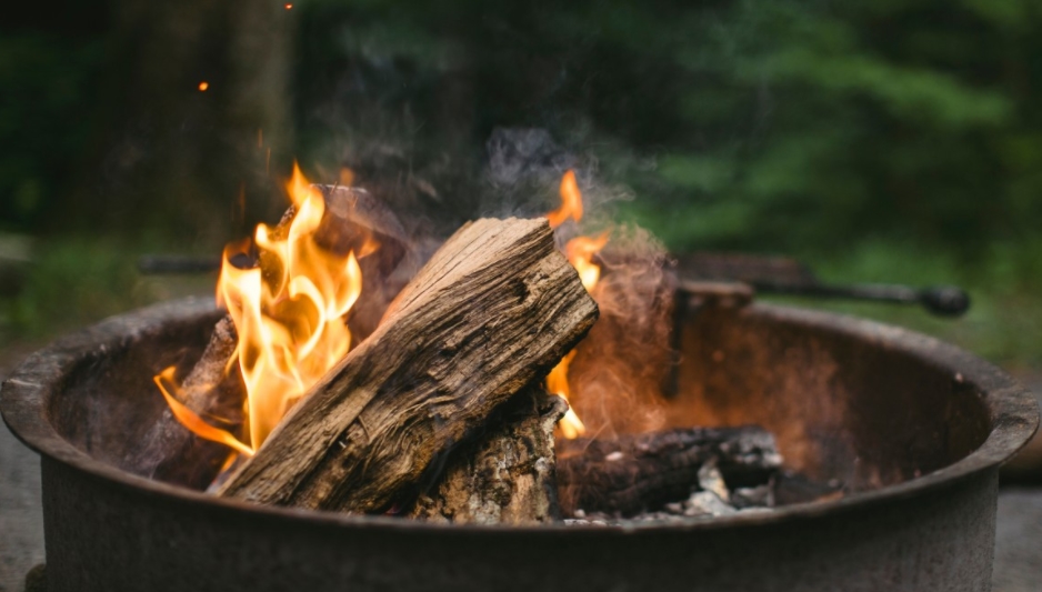 How to Choose the Best Campfire Wood And Get Your Fire Started