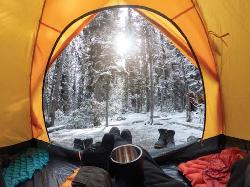 View of Snowy Forest Through Tent Door With Hand Holding Cup Inside Tent